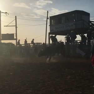 Meet your Posher, Ben